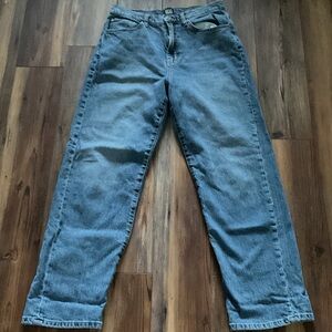 BDG High Waisted Wide Leg Baggy Women's Jeans sz 30
